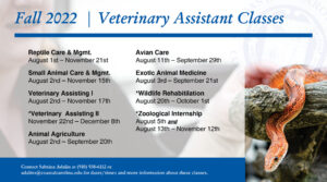 Fall 2022 Veterinary Assistant Classes | Reptile Care & Mgmt. August 1st - November 21st | Small Animal Care & Mgmt. August 2nd - November 15th | Veterinary Assisting I August 2nd - November 17th | *Veterinary Assisting II November 22nd - December 8th | Animal Agriculture August 2nd - September 20th | Avian Care August 11th - September 29th | Exotic Animal Medicine August 3rd - September 21st | *Wildlife Rehabilitation August 20th - October 1st | *Zoological Internship August 5th and August 13th - November 12th